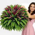 💥BUY 1 GET 1 FREE (2 PCS)🔥 48" Large UV-Resistant Artificial Fern & Red Dracaena Decorative Plants – Full, Lush & Fade-Resistant!